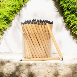 Never Ending Bamboo Pencil | POS | Earth Day Bestseller: Original Modern