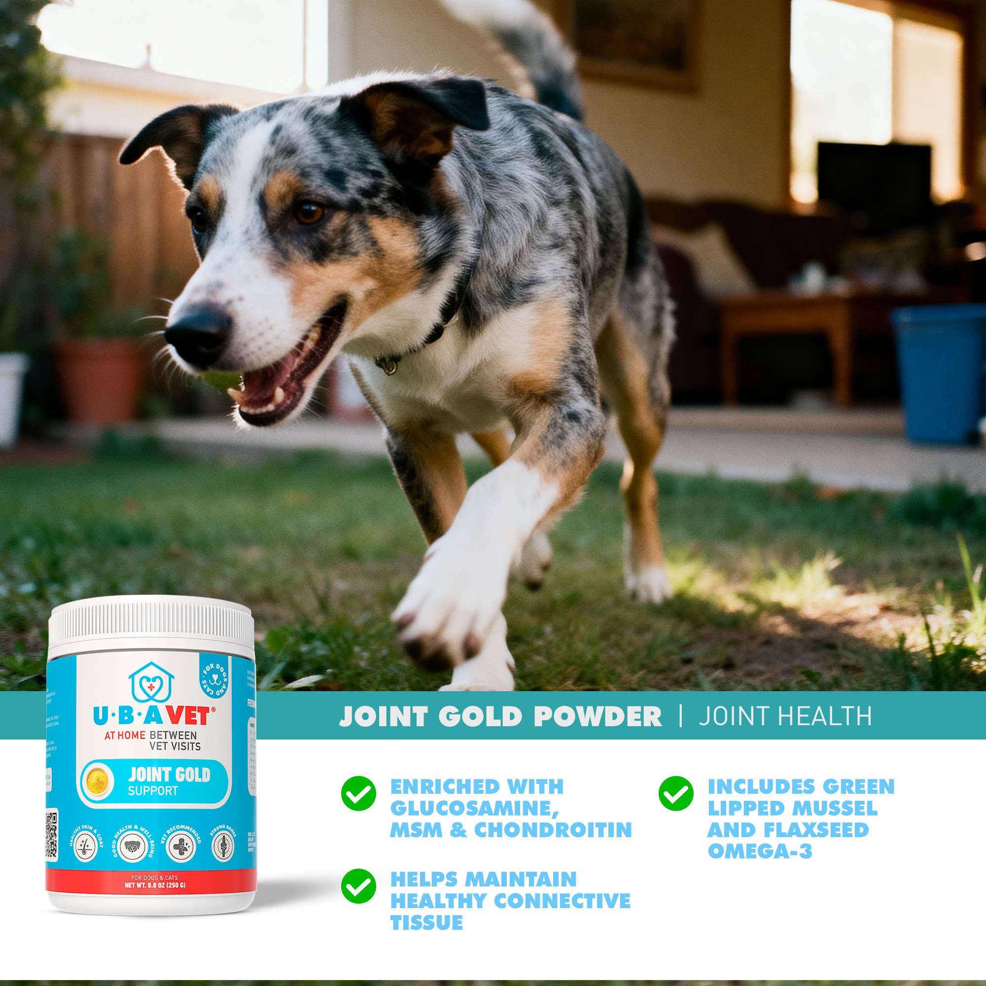 UBAVET Joint Gold Support Powder for Dogs & Cats (8.8 oz) - Image 5