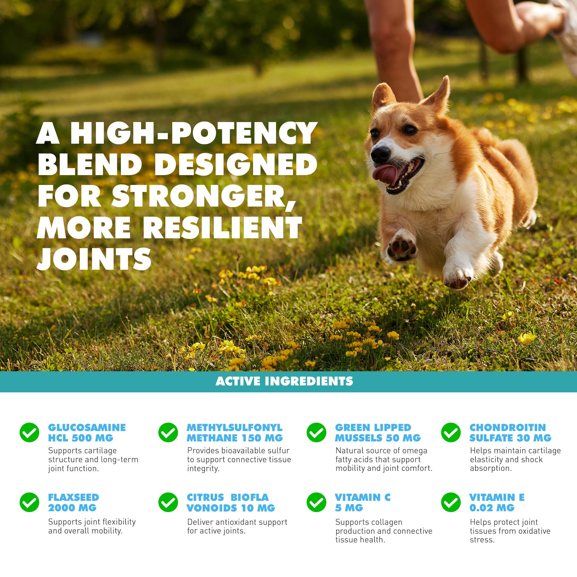 UBAVET Joint Gold Support Powder for Dogs & Cats (8.8 oz) - Image 7