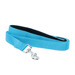 Padded Grip Dog Leash (5ft): Light Blue