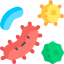 bacteria