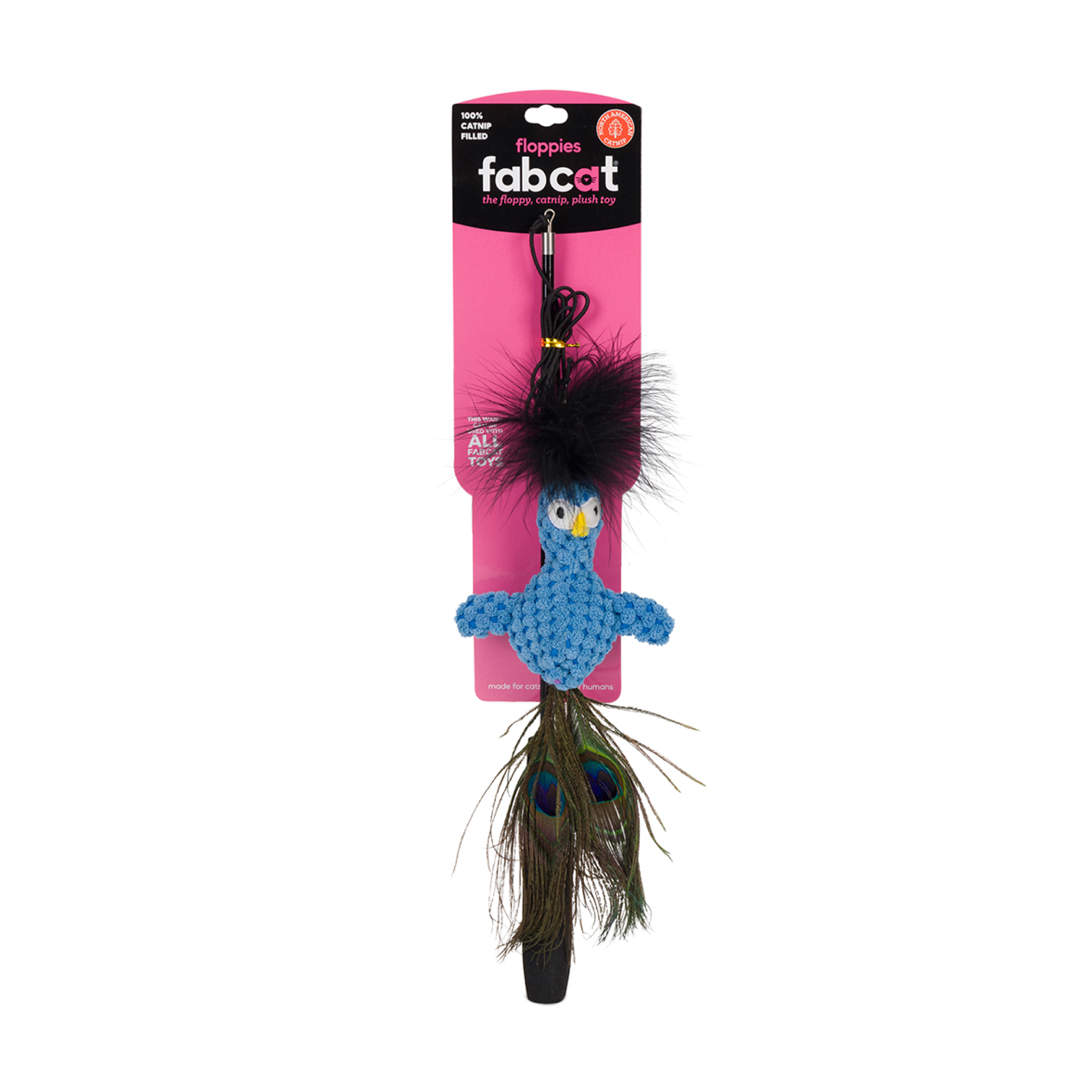 Floppy Peacock Cat Teaser