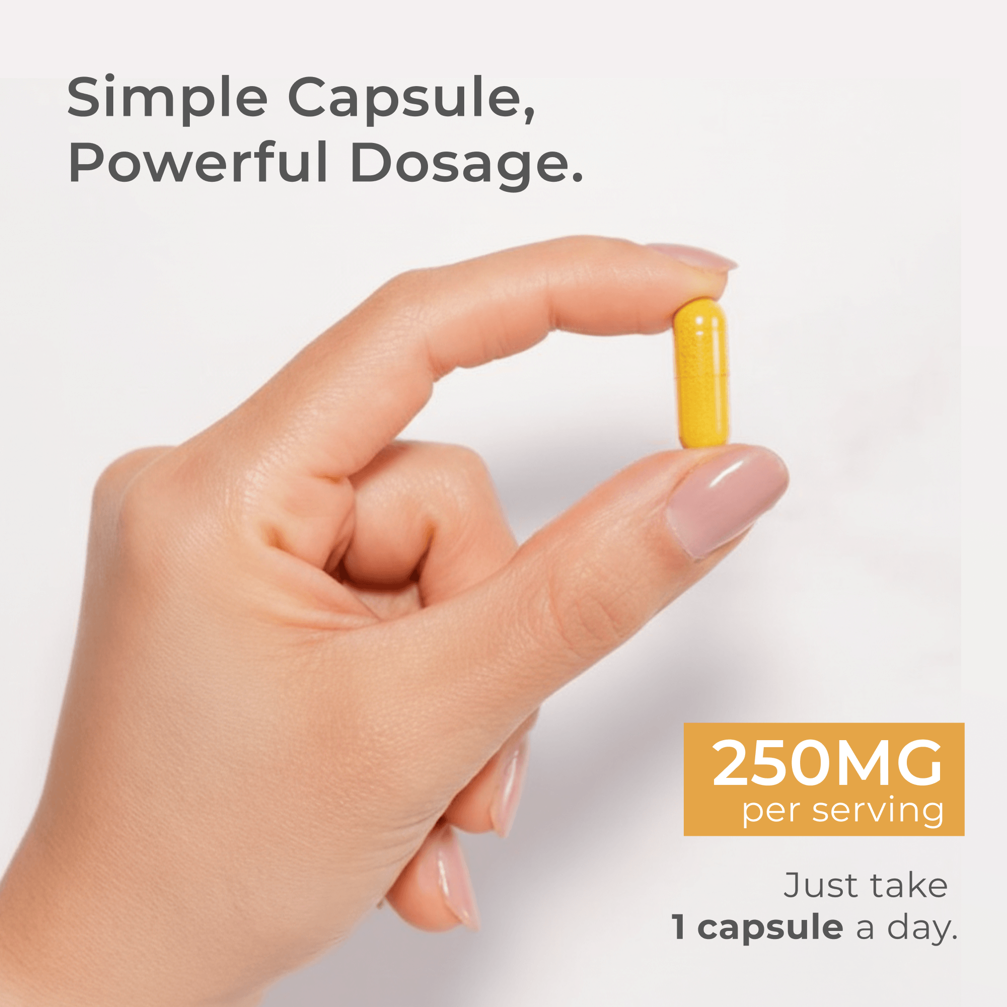 Dihydroberberine Capsules - Image 3