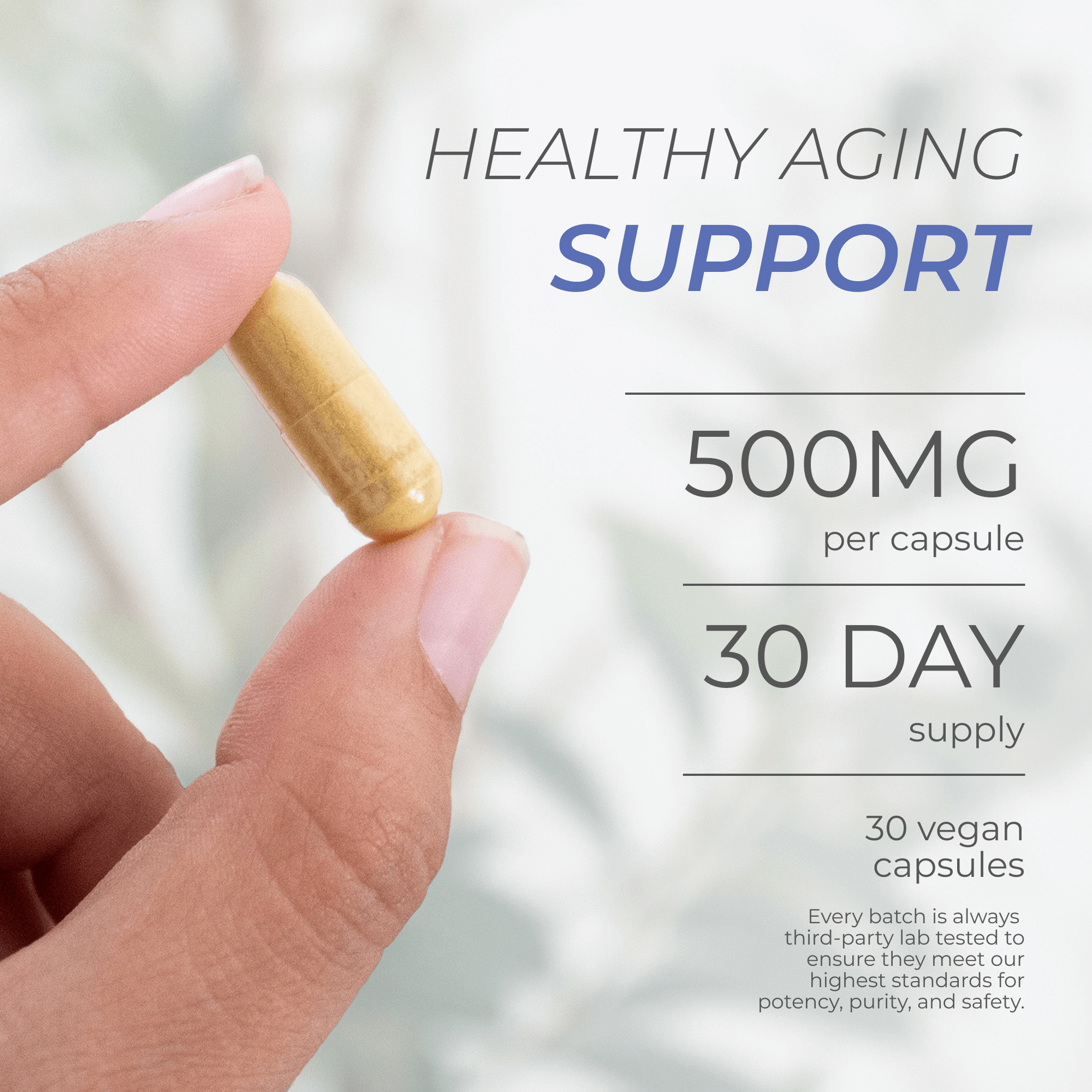 Fisetin Capsules - Image 4