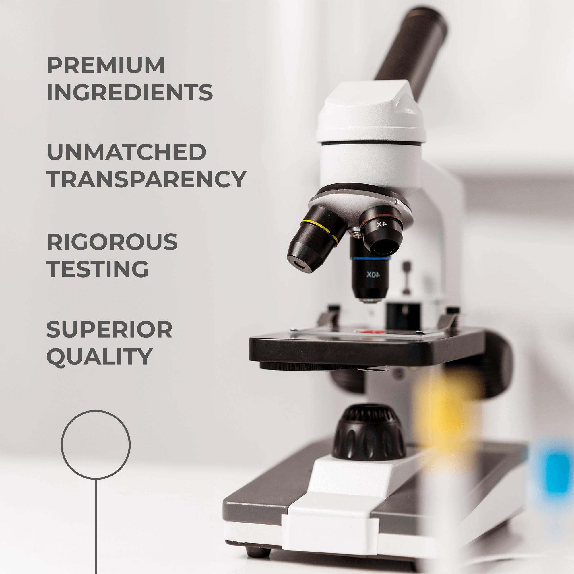 Epicatechin Supplement - Image 6