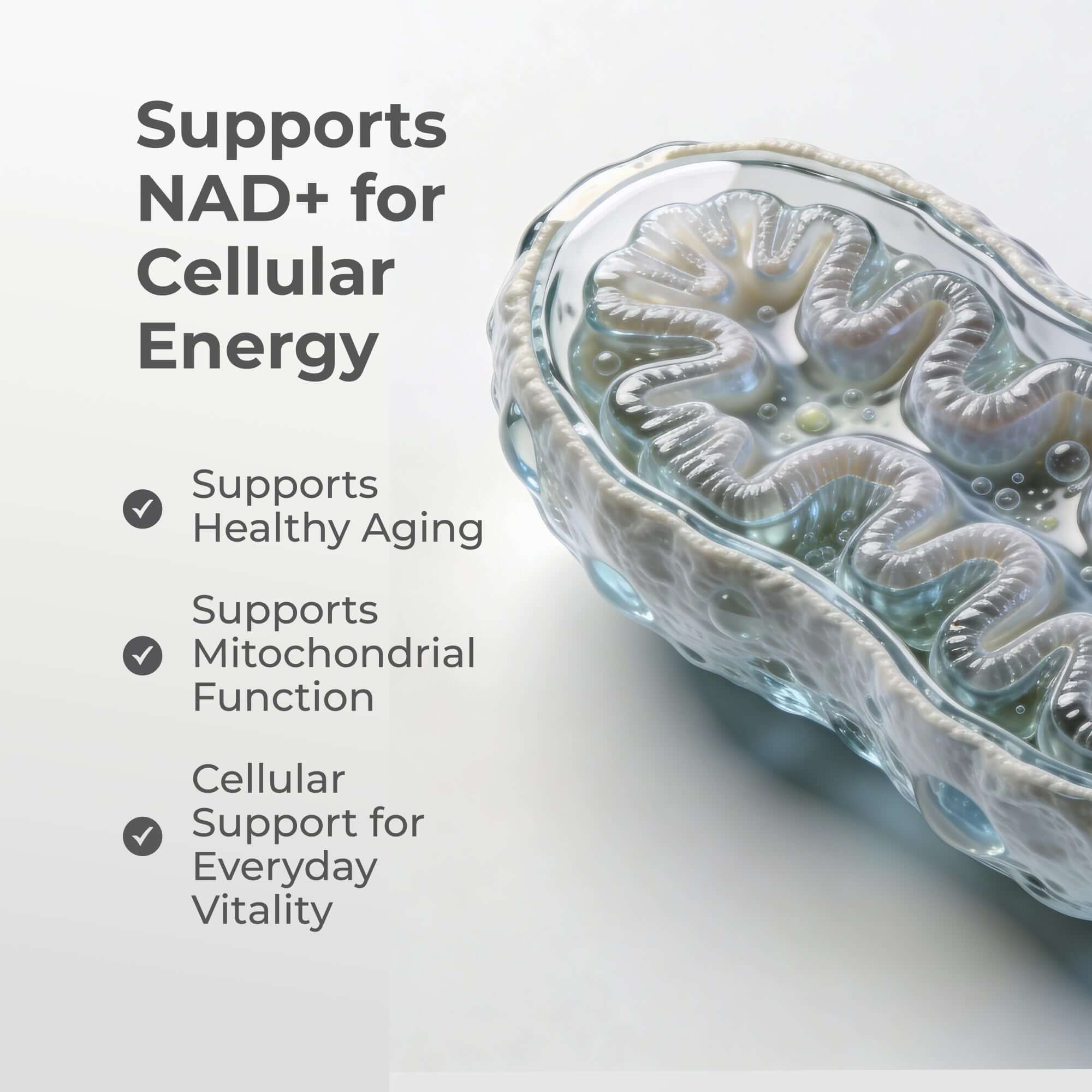 Liposomal NMN Capsules - Image 7