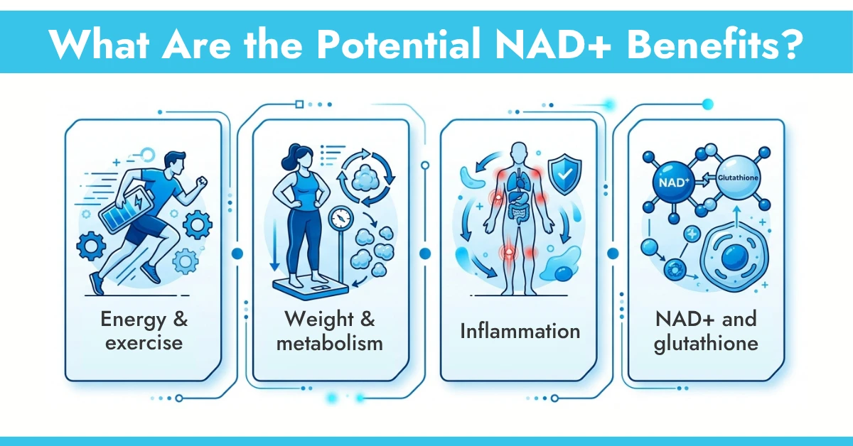 What Are the Potential NAD+ Benefits