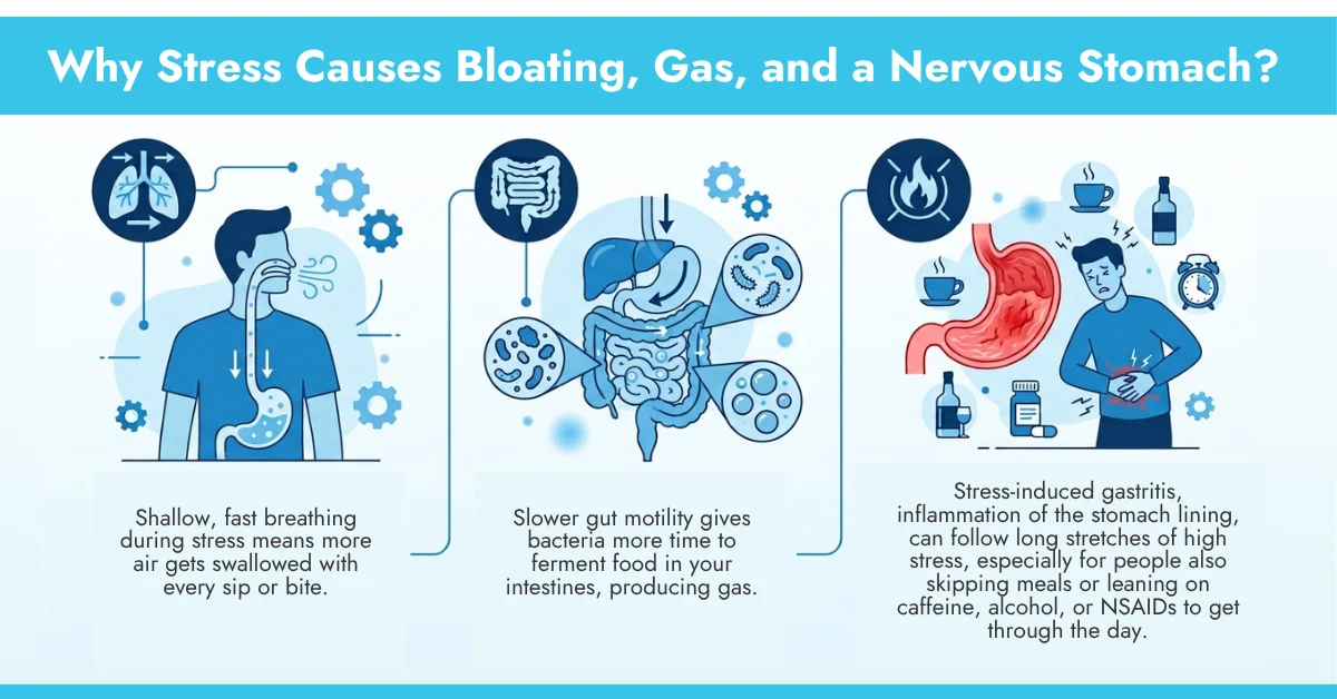 Why Stress Causes Bloating, Gas, and a Nervous Stomach