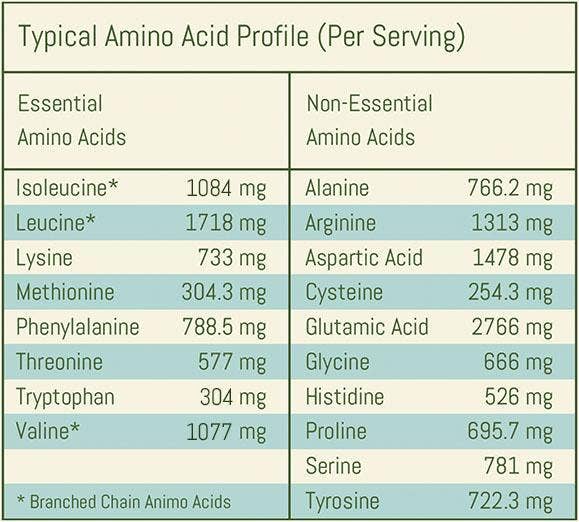 Natural Protein Blend - Image 4