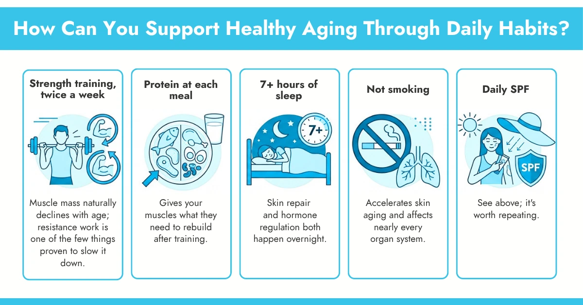 How Can You Support Healthy Aging Through Daily Habits